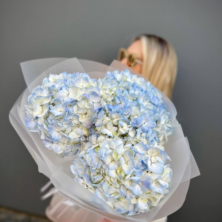 Букет из 3 голубых гортензий  в Волжские