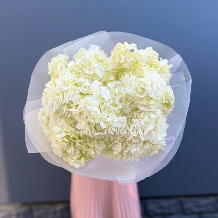 7 белых гортензий в Волжские