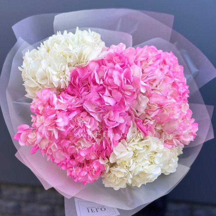 5 бело-розовых гортензий в Волжские