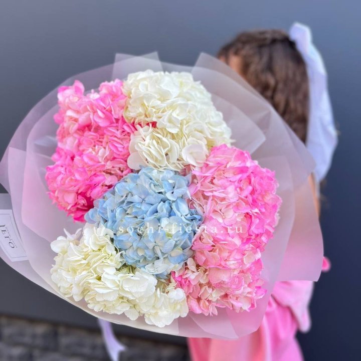 7 гортензий микс в Волжские