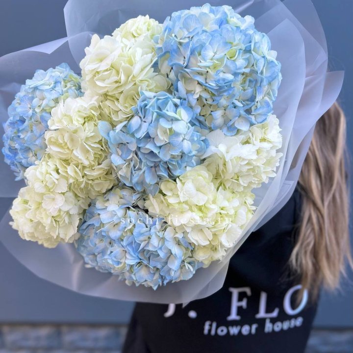 9 бело-голубых гортензий в Волжские