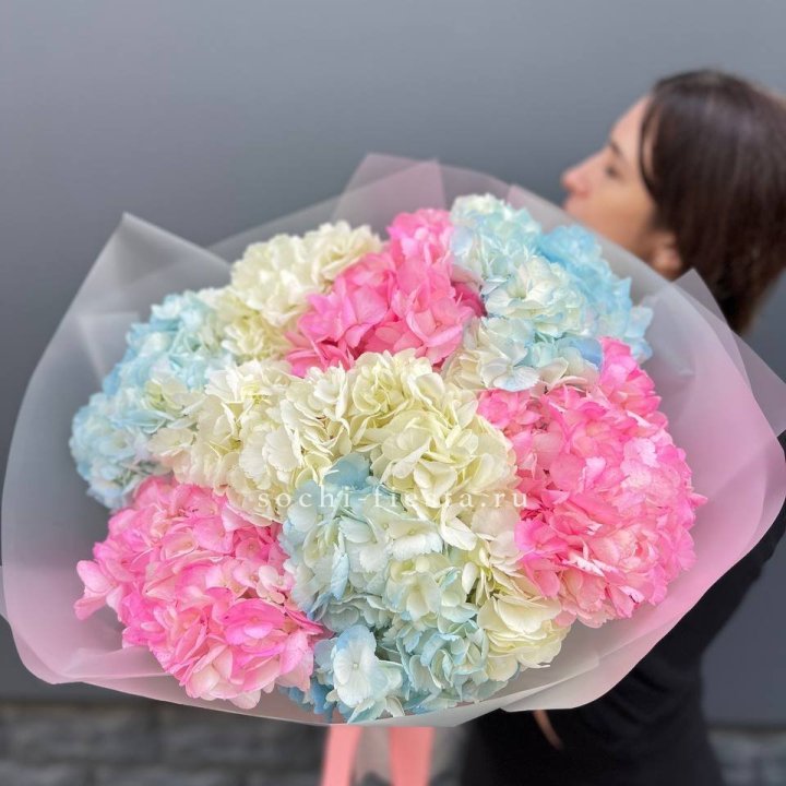 9 гортензий микс в Волжские