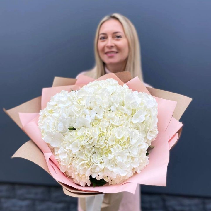 Гортензия белая в Волжские