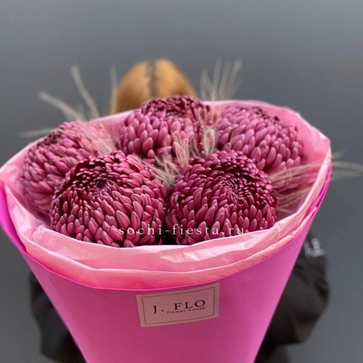 Хризантемы  Бигуди с стифой в Волжские