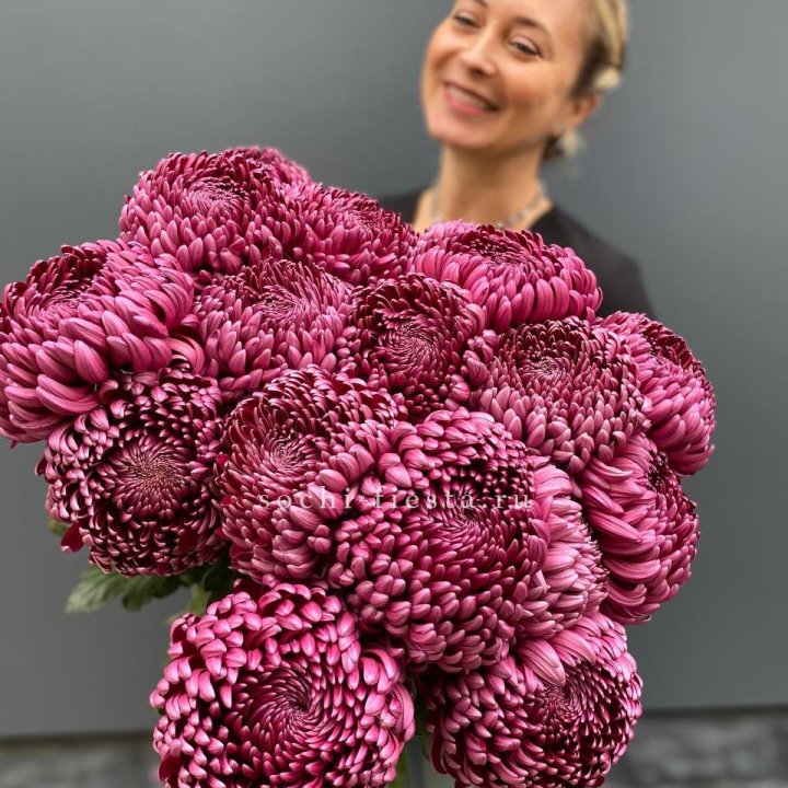 Охапка хризантем Бигуди в Волжские