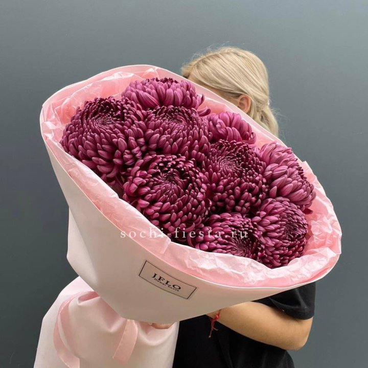 9 хризантем бигуди в Волжские