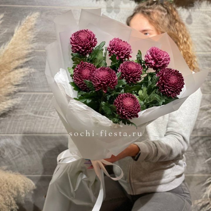 Хризантемы Бигуди в Волжские