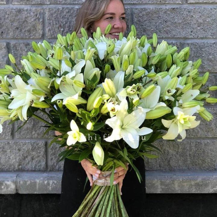 51 лилия в Волжские