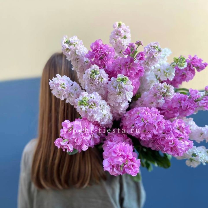 Охапка маттиолы в Волжские