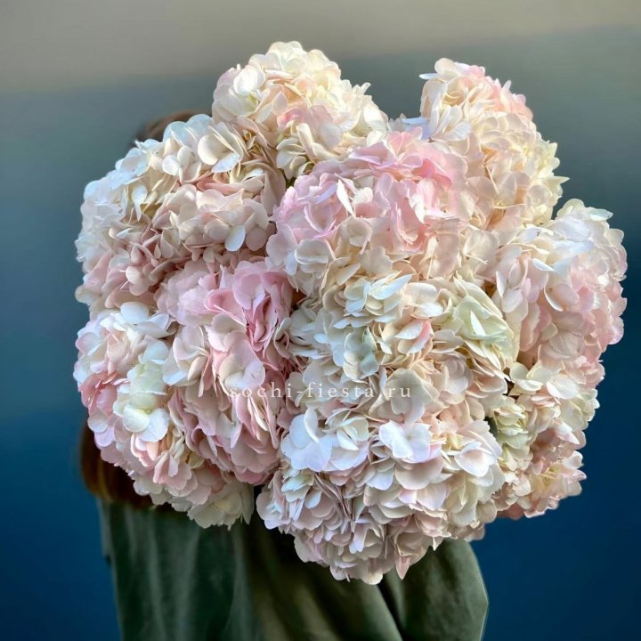 Охапка розовой гортензии в Волжские