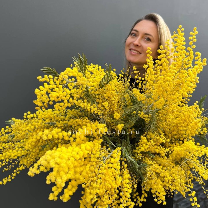 Охапка мимозы №2 в Волжские