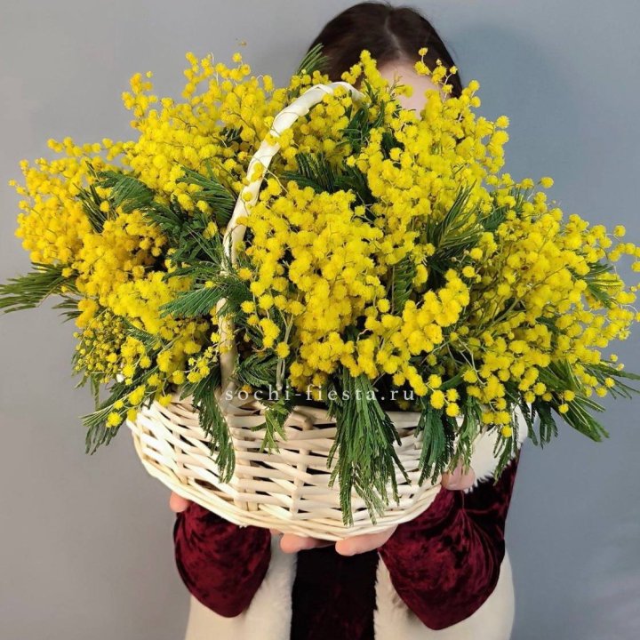 Корзина ароматной мимозы в Волжские