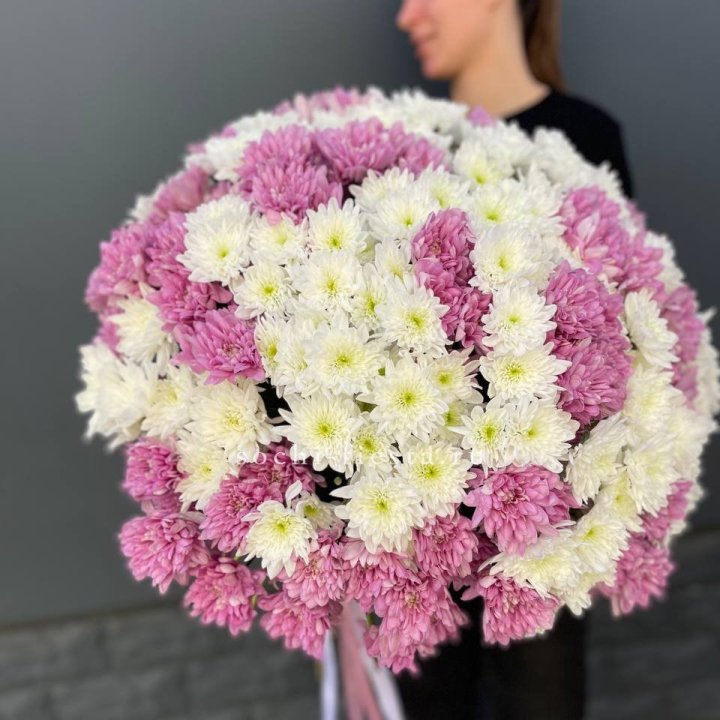  Букет 25 хризантем микс в Волжские