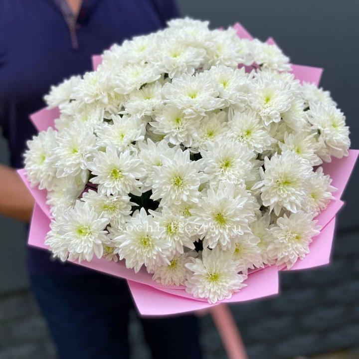  Букет 15 хризантем  в Волжские