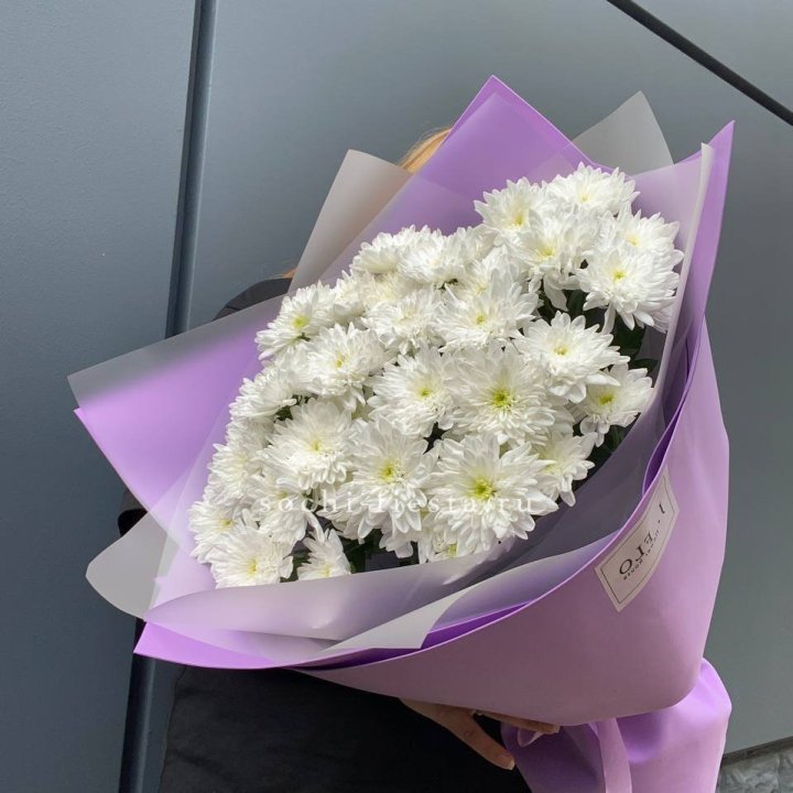  7 хризантем  в Волжские