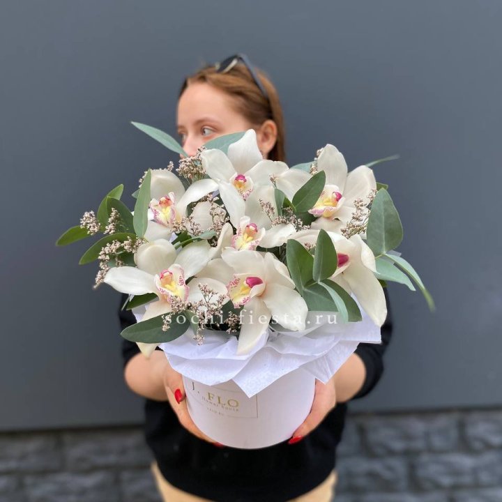 7 орхидей в боксе в Волжские