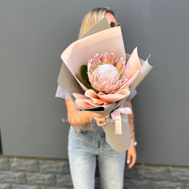 Протея мини  в Волжские