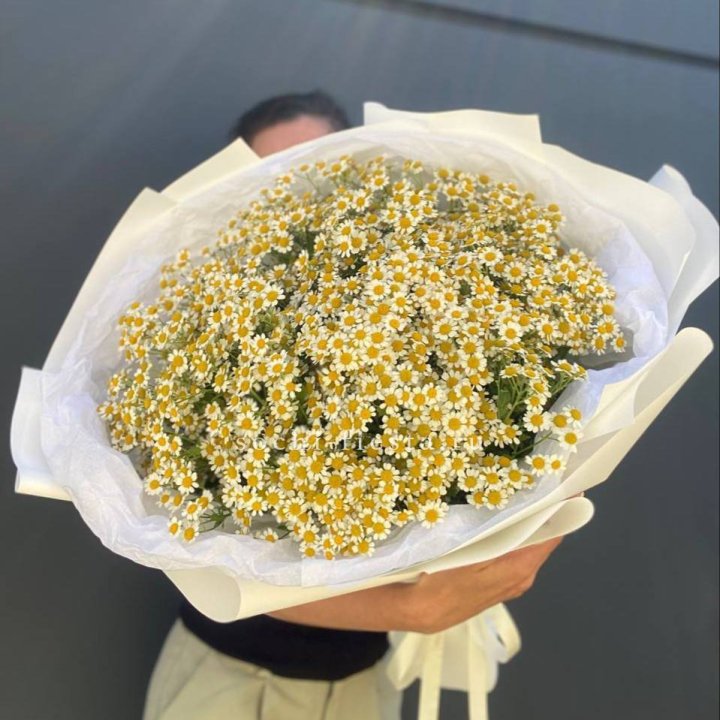 Букет ромашек №2 в Волжские