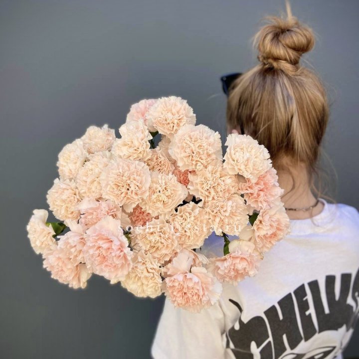 Охапка диантусов  в Волжские