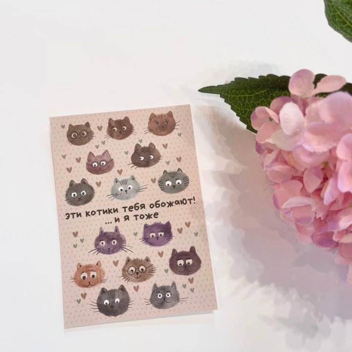 Открытка к букету "Котики" в Волжские