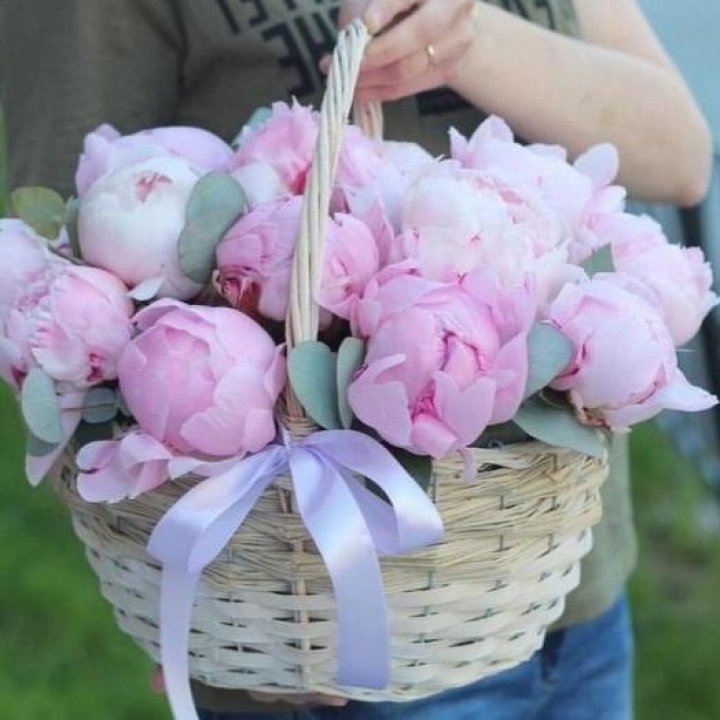 15 пионов в корзине в Волжские