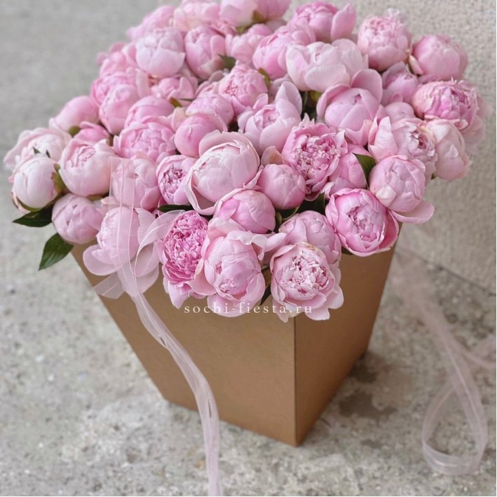 49 пионов в крафт коробке в Волжские