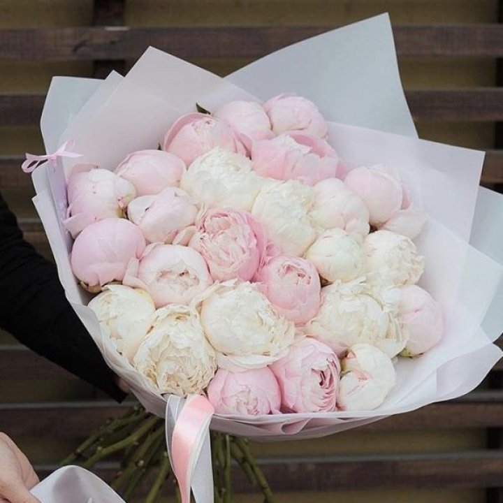 29 пионов в Волжские