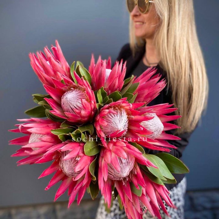 Протея штучно в Волжские