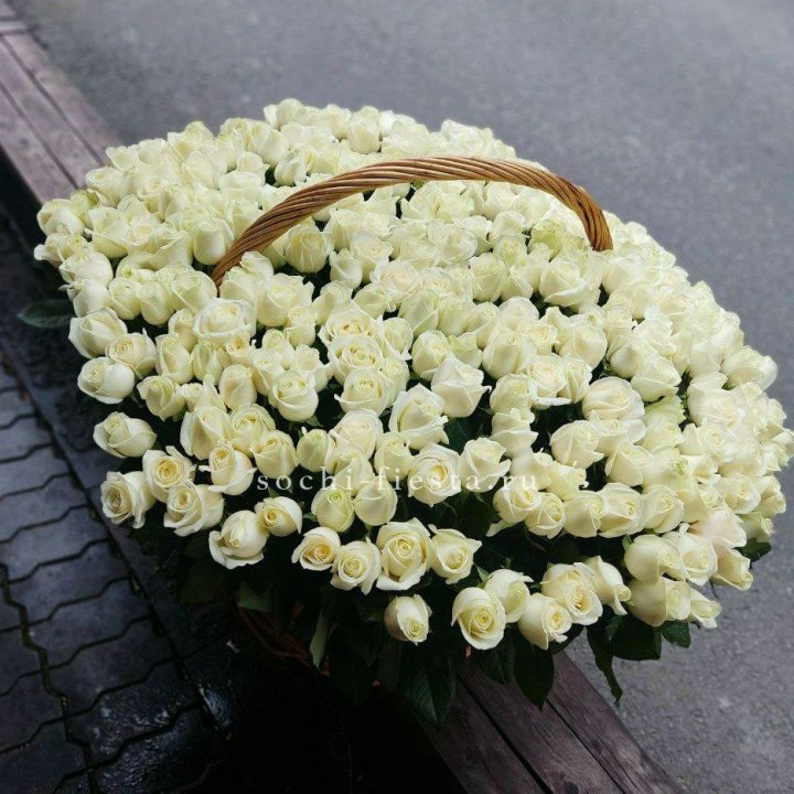 303 розы в корзине в Волжские