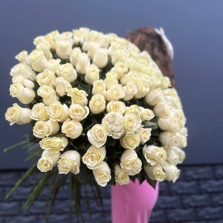 101 белая высокая импортная роза под ленту в Волжские