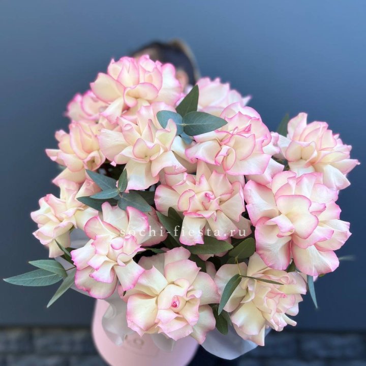 15 Французских роз Джумилия в боксе в Волжские