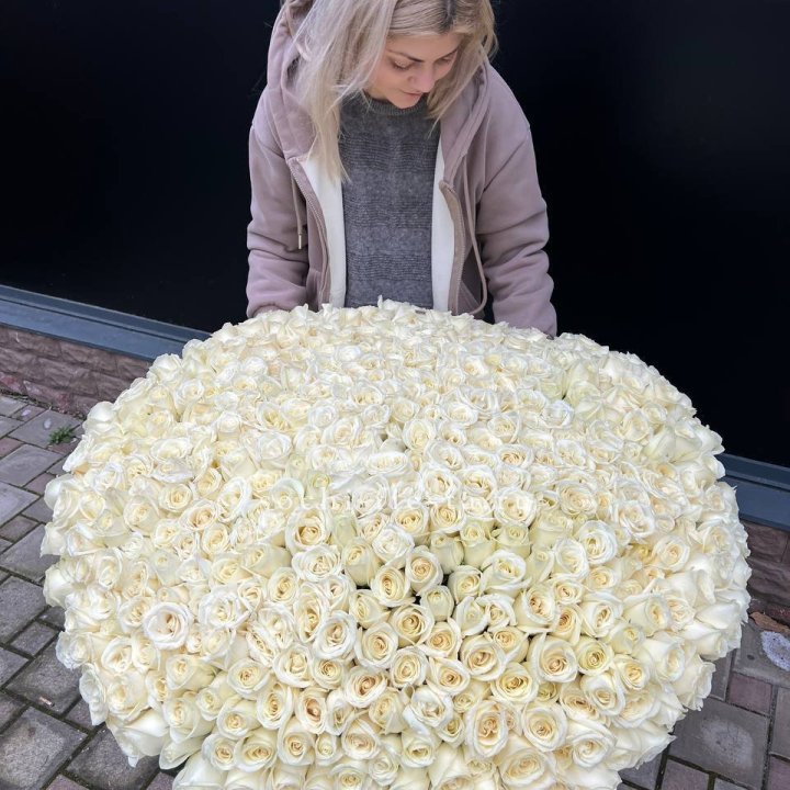 501 белая роза в корзине в Волжские