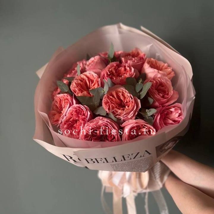 15 Пинк экспрешен в Волжские