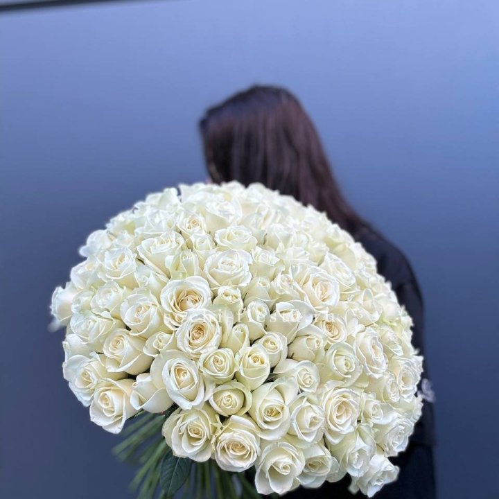 Охапка из 101 белой розы  в Волжские