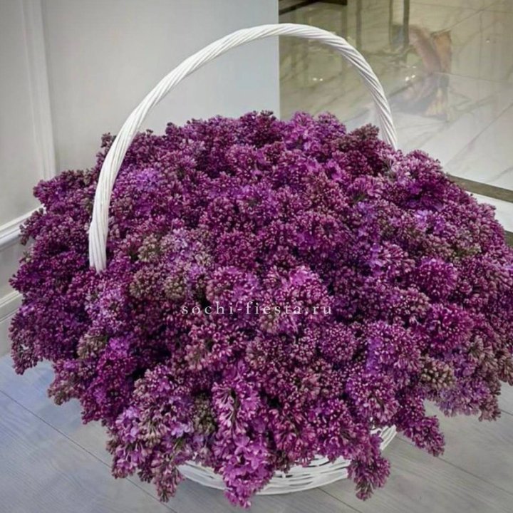 Корзина сирени в Волжские