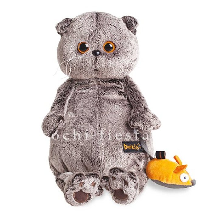 Кот Басик с мышкой в Волжские