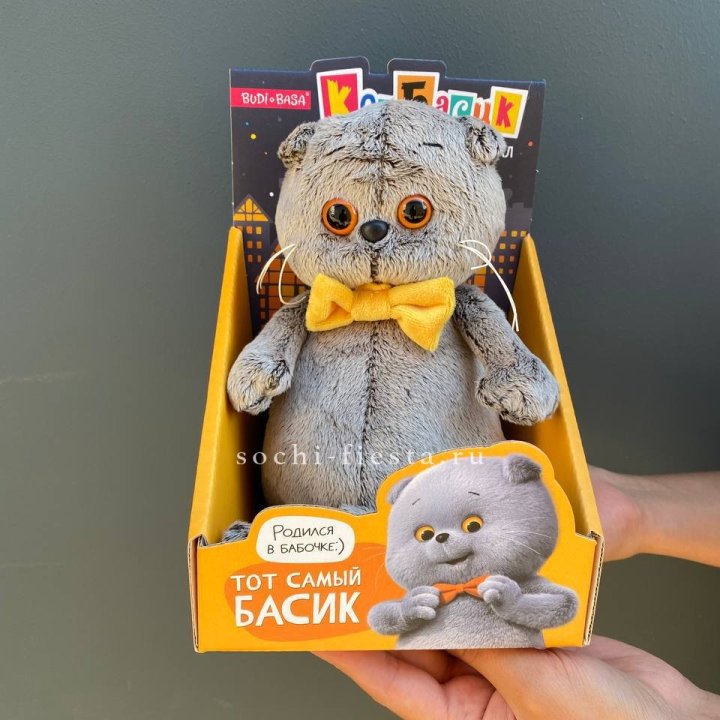 Кот Басик с бабочкой в Волжские