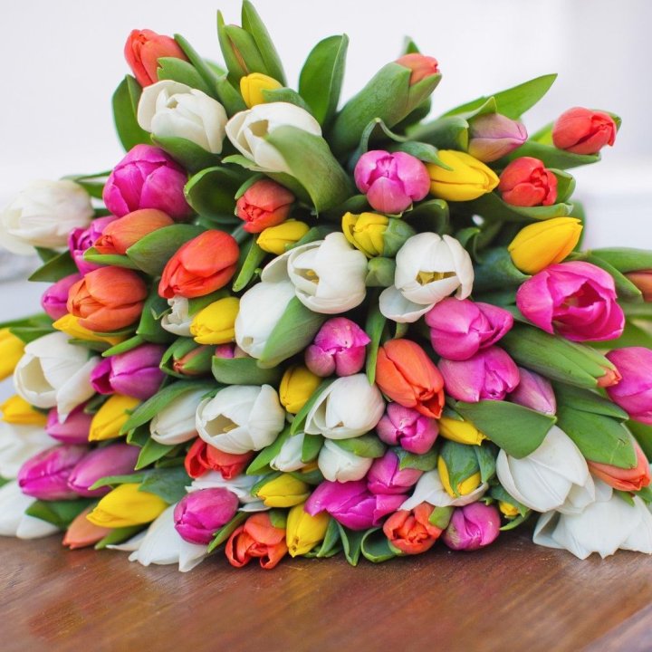 79 тюльпанов "Рандом" в Волжские