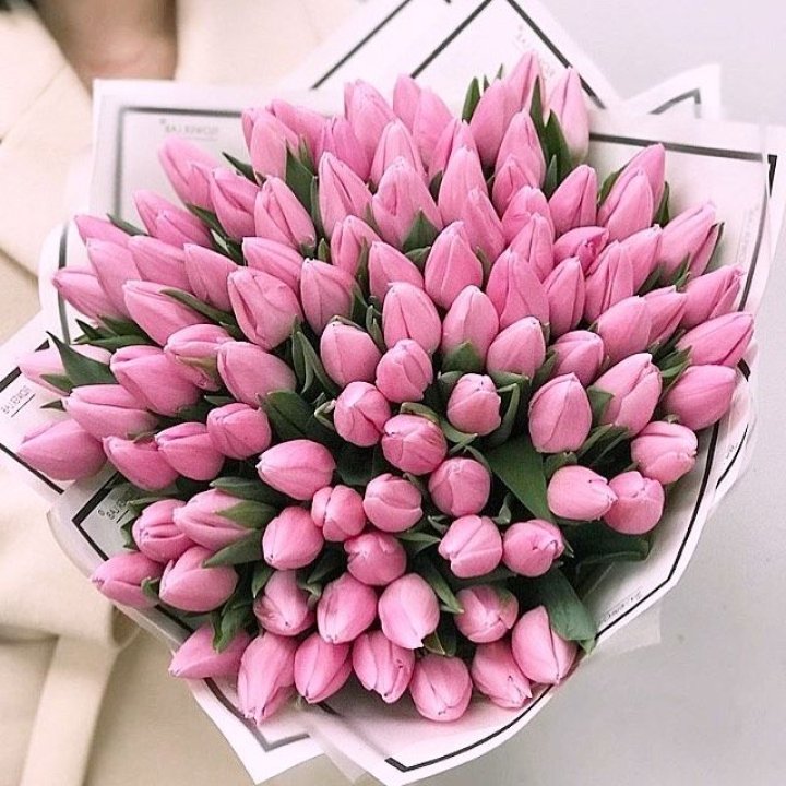 101 розовый тюльпан в белом в Волжские