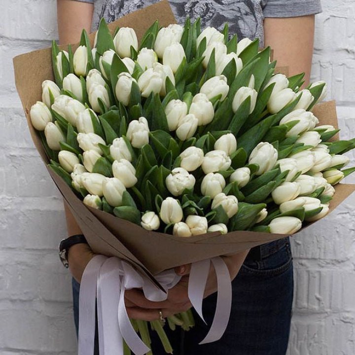 101 тюльпан сноу в Волжские