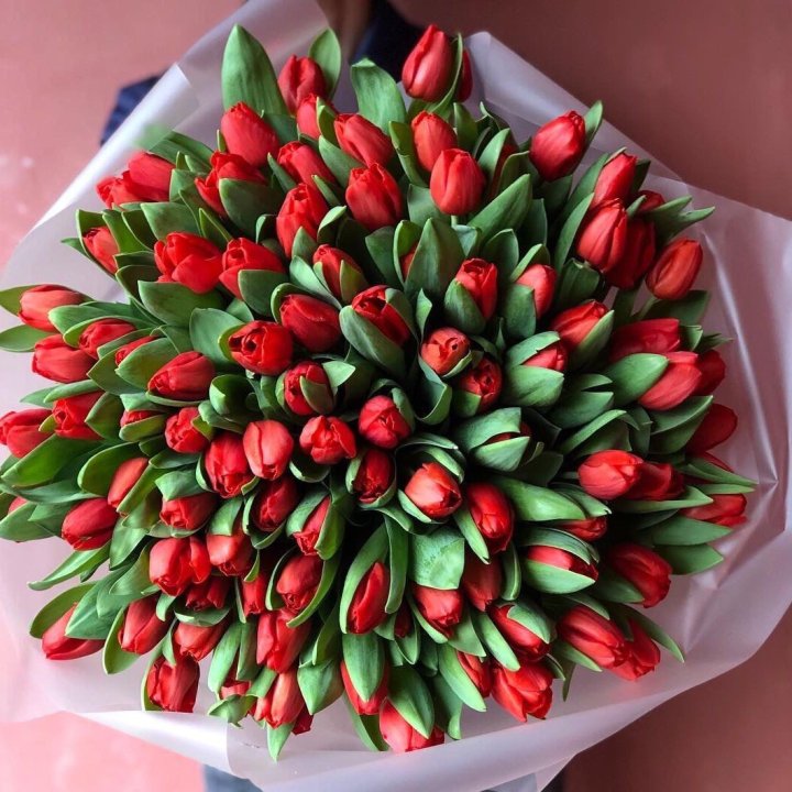 101 красный тюльпан в Волжские